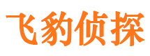 包河市侦探调查公司